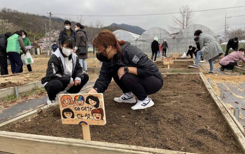 '텃밭 가꾸는 재미가 쏠쏠', 김천시새마을회, 30가구에 텃밭 분양