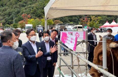 경북 최고의 한우를 찾아라!’, 명품 한우 선발대회 열려