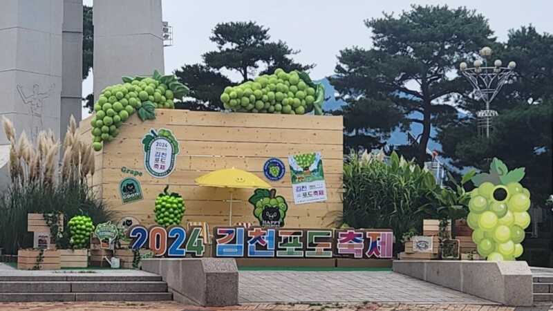 2024 김천포도축제 개막 ••• 볼거리, 먹거리 다양한 체험까지